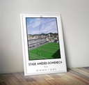 Affiche Stade Amédée Domenech