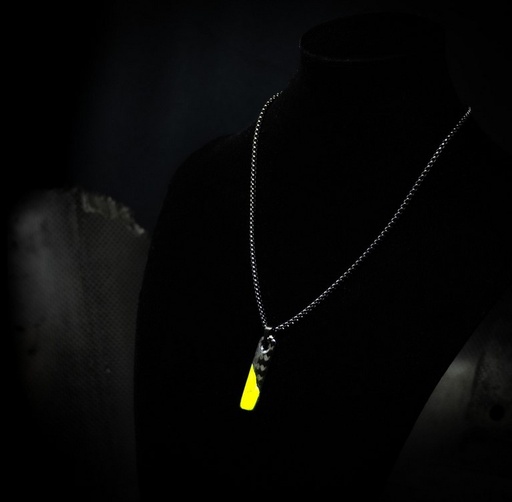 Pendentif Carbone WRT BMW M4 GT3